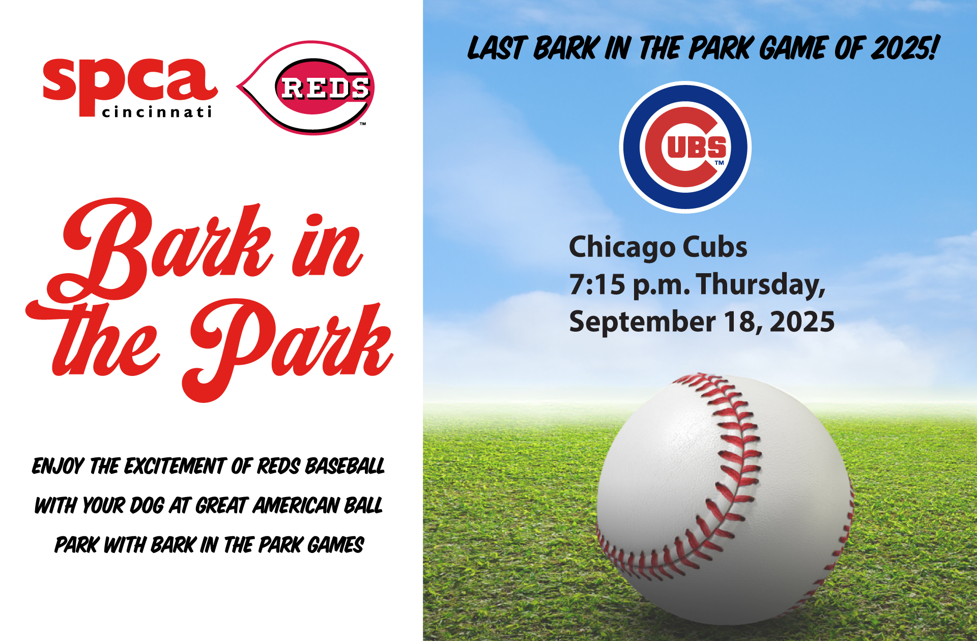 bark in the Park 2025