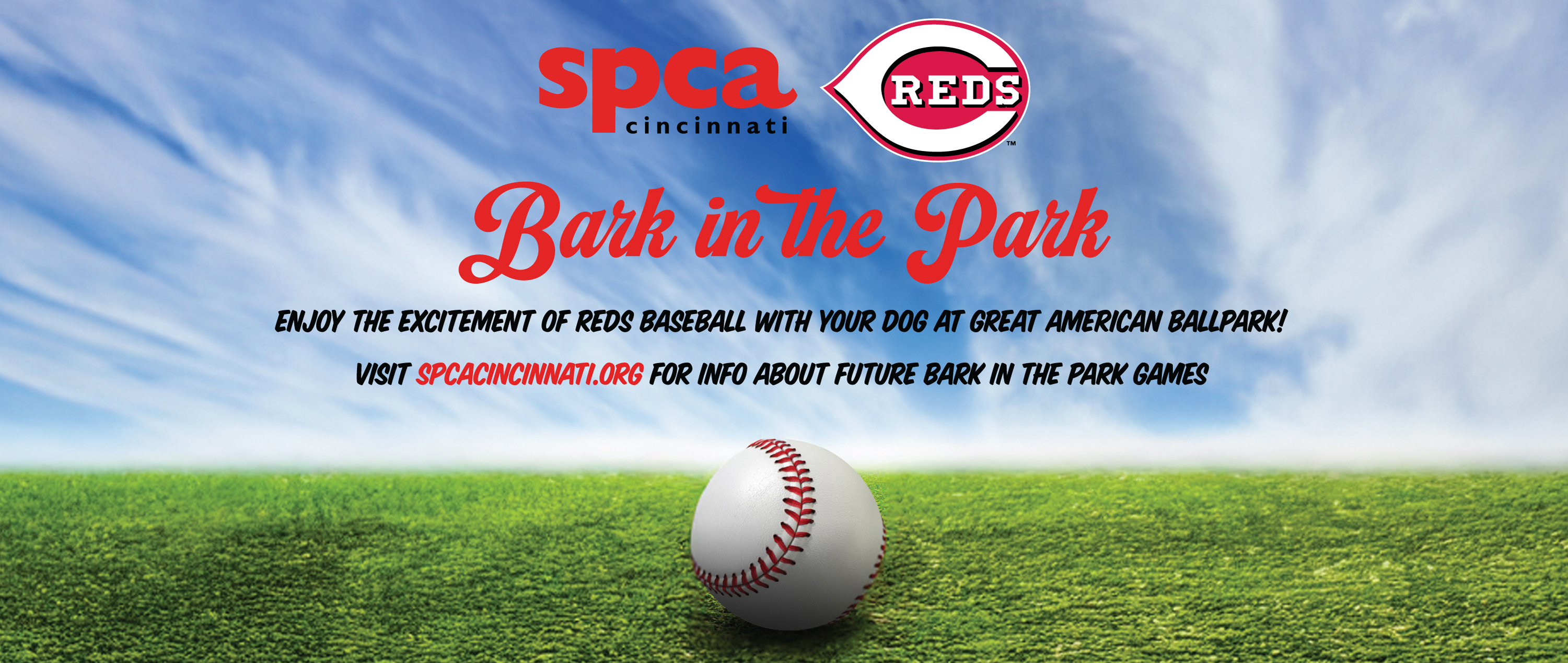 Bark in the Park