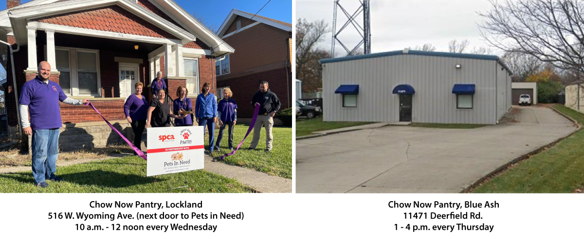 Chow Now Pantry Locations